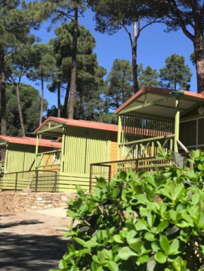 Гостиница Camping Resort-Bungalow Park Mas Patoxas  Пальс